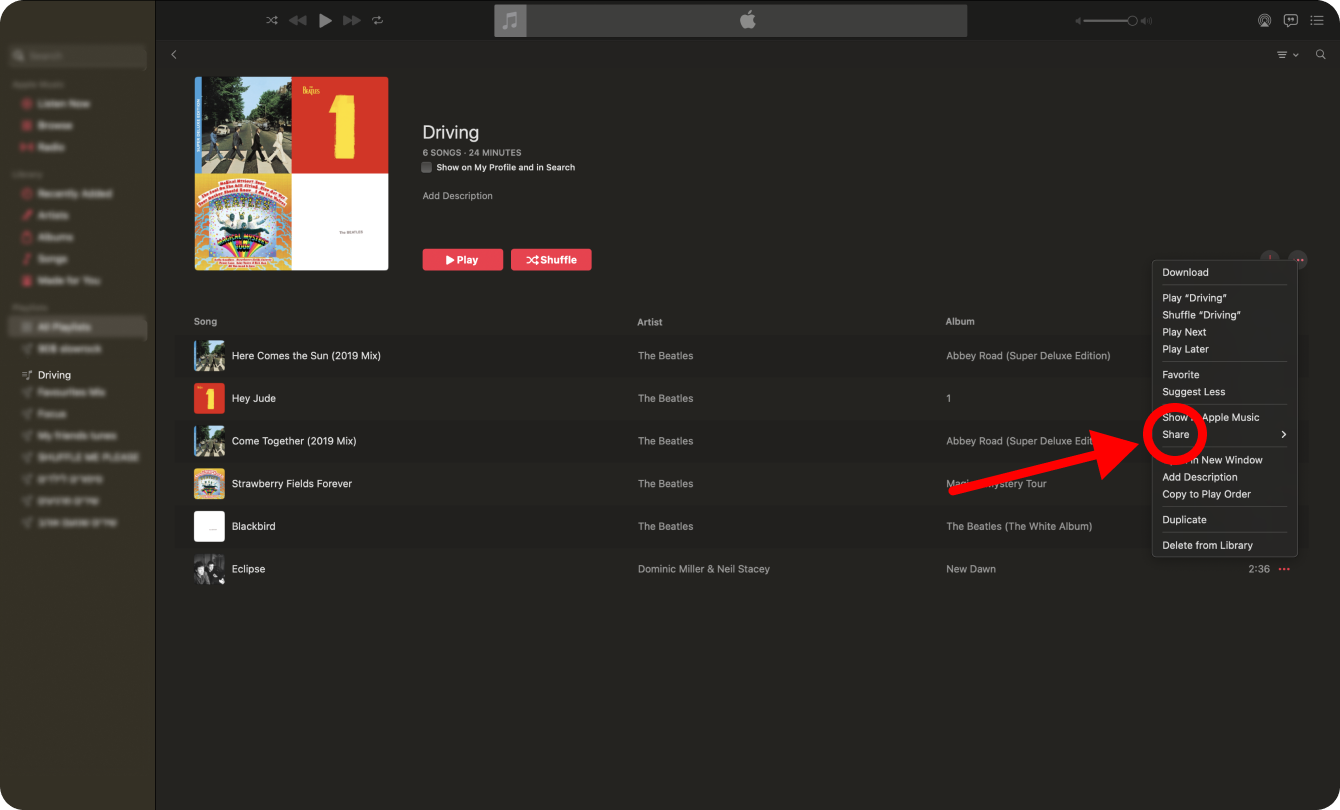 A dropdown menu appears, showing the 'Share Playlist...' option