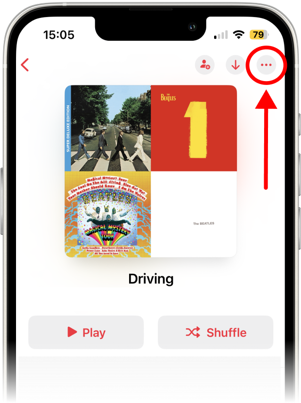 The three red dots located at the top-right corner of the playlist screen