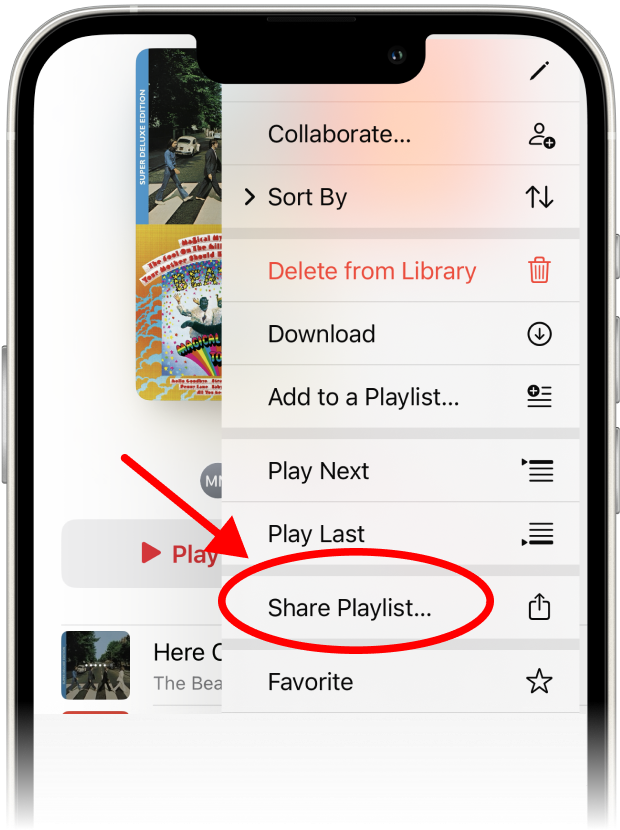 A dropdown menu opens, revealing the option 'Share Playlist...'