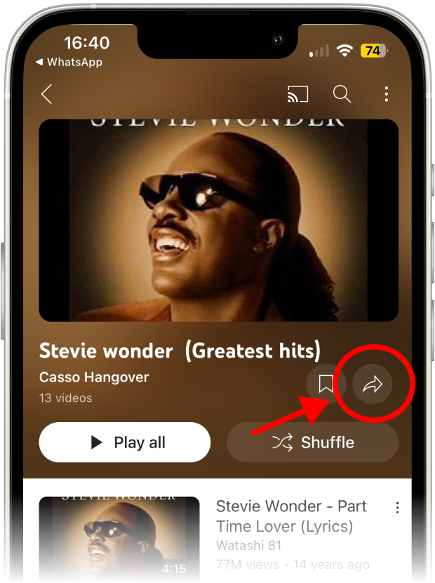 On the playlist page, tap the arrow pointing to the right, located above the shuffle button